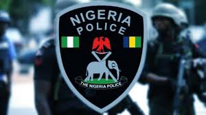 Police Arrest Two Men for Alleged Rape of Minor in Yobe