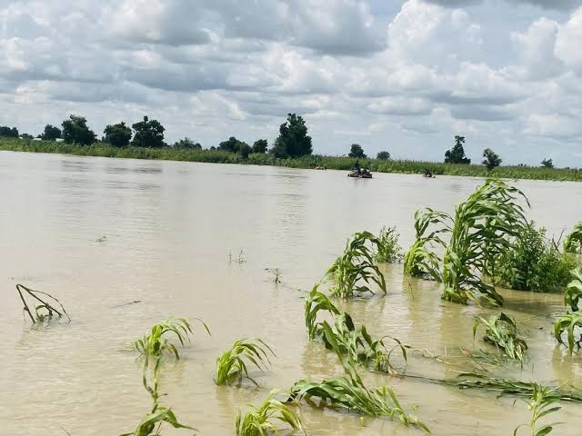 Yobe Partners with FAO to Launch Floodwater Harvesting Project