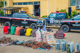 NSCDC Arrests 17 Suspected Vandals in Yobe