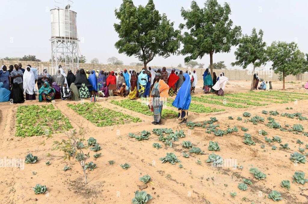 Africa’s Nature-Based Solutions: A Green Pathway to Climate Resilience and Economic Growth