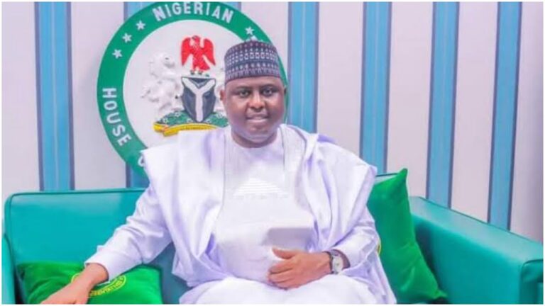 Too Many Sheep in Wolves’ Clothing in Ganye, Jada, Toungo and Mayo-Belwa Constituency: Why Namdas is Still the Best Man the Cap Fits