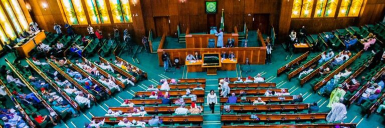 Lawmakers seek medical intervention, relief materials, and electricity restoration to curb public health emergency in Lagos border community.