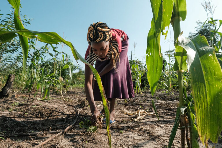 How Women Are Driving Climate Solutions Despite Systemic Barriers