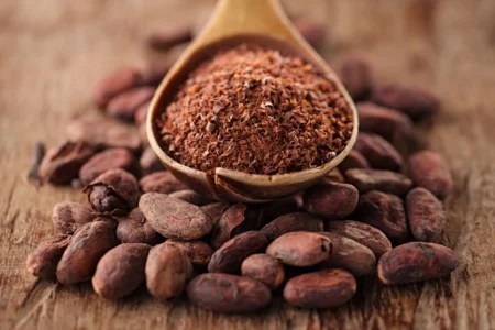 Call for training, credit, and policy access to boost women’s role in cocoa sector