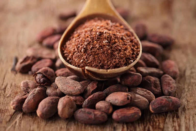 Call for training, credit, and policy access to boost women’s role in cocoa sector