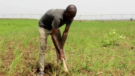 Excessive use of fertilizers and herbicides blamed for international trade bans on Nigerian farm produce.