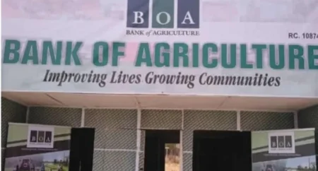 Nigeria recapitalizes Bank of Agriculture, rolls out fertilizer support as Gambia seeks rice partnership