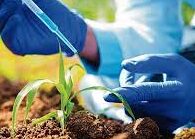 Samson Ogbole advocates hydroponics and greenhouse farming for quicker profits