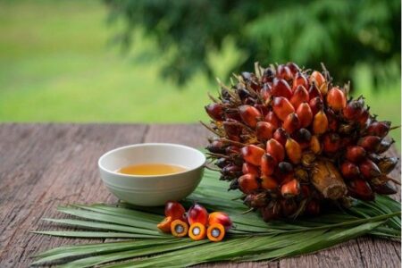 Presco and Okomu Oil set to benefit from tightening global supply, rising demand, and improved operational efficiency