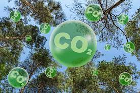 Group urges media, stakeholders to shape public awareness and drive climate action