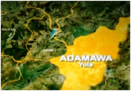 NEMA, police, and emergency agencies lead rescue as thousands displaced in Adamawa State