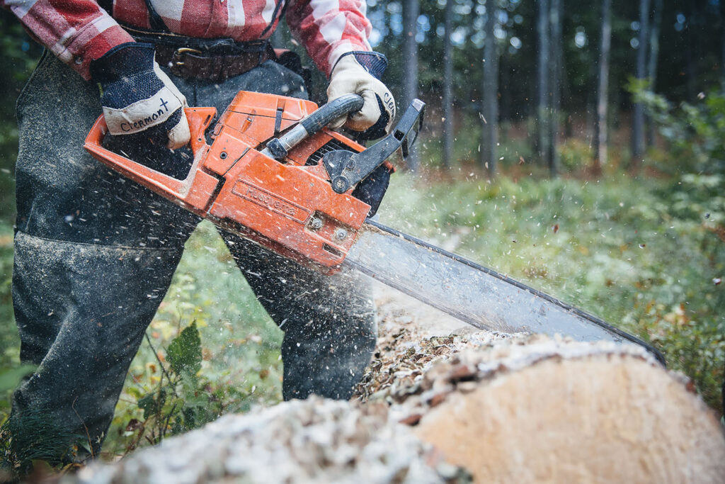 New permit system introduced as violators face heavy fines, confiscation, and jail terms