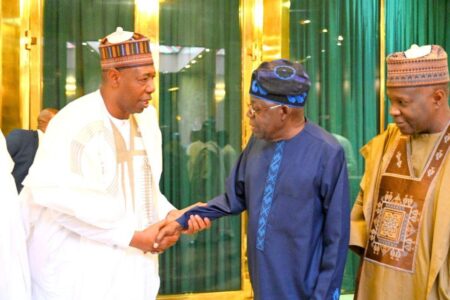 Zulum leads delegation to Presidential Villa, urges priority on 17 infrastructure projects and Kolmani, Lake Chad oil exploration.