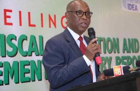 Executive Secretary says 86 million Nigerians risk deeper energy crisis without inclusive policies