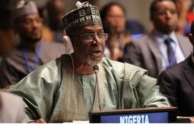 NEWMAP-EIB to tackle erosion, restore degraded land, and boost food security