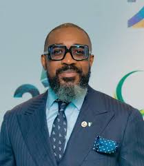 Nwokedi says gas can drive industrial growth, job creation and clean energy transition