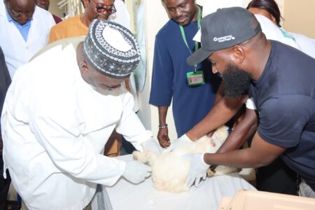 Campaign targets 500 pets in Gwagwalada and nearby communities as experts stress 2030 elimination goal