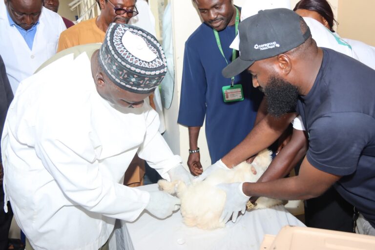 Campaign targets 500 pets in Gwagwalada and nearby communities as experts stress 2030 elimination goal