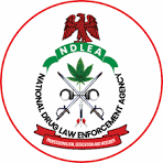 NDLEA to Seek Forfeiture of Lagos Nightclub After Drug Party Raid Over 100 guests arrested as Pretty Mike, manager remain in custody after NDLEA bust