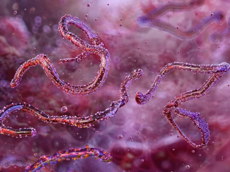 Ethiopia Confirms First Marburg Virus Outbreak — Al Jazeera Reports