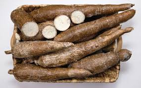 Cassava Industrialisation Group Backs Bill for Mandatory Cassava Flour Inclusion in Food Production Stakeholders say legislation will boost farming, strengthen food security, and drive Nigeria’s One Cassava Agenda