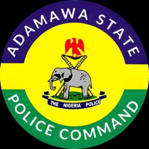 Adamawa Police Arrest Son For Allegedly Masterminding Father’s Abduction In N2m Ransom Plot